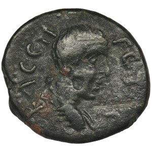 Roman Provincial, Moesia Inferior, Tomis, Geta, AE