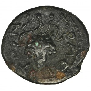 Roman Provincial, Moesia Inferior, Tomis, Geta, AE