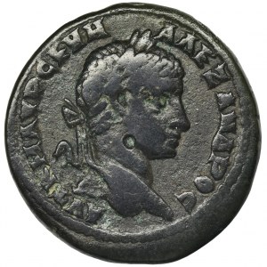 Roman Provincial, Moesia Inferior, Marcianopolis, Severus Alexander, AE