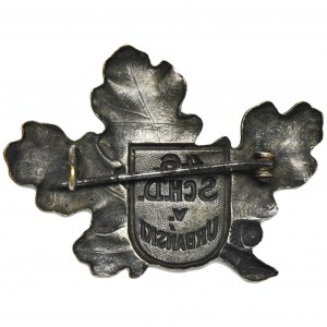 Austro-Węgry, Odznaka 46 Dywizji Strzelców V. Urbański