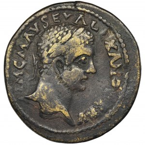 Roman Provincial, Pisidia, Antioch, Severus Alexander, AE