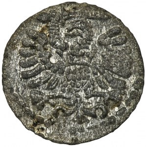 Sigismund III Vasa, Denarius Danzig 1596 - small numbers