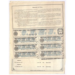 Towarzystwo Akcyjne Druskiennickich Mineralnych Wód - 100 rubli 1900