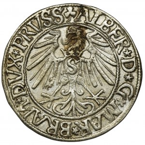 Duchy of Prussia, Albrecht Hohenzollern, Groschen Königsberg 1544