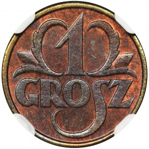 1 grosz 1931 - NGC MS66 BN