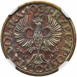 1 grosz 1931 - NGC MS66 BN