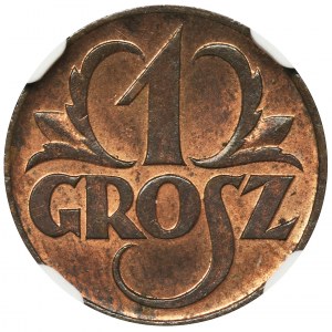 1 grosz 1923 - NGC MS65 RB