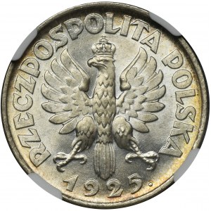 Kobieta i kłosy, 1 złoty Londyn 1925 - NGC MS66+ - ZJAWISKOWA
