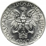 5 złotych 1960 Rybak - NGC MS 65 64 - błąd w nalepce