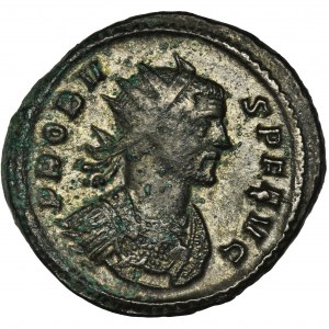 Roman Imperial, Probus, Antoninianus