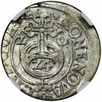 Sigismund III Vasa, 3 Polker Riga 1620 - NGC AU55 - RARE, ILUSTRATED
