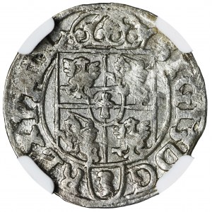 Sigismund III Vasa, 3 Polker Bromberg 1617 - NGC AU53 - RARE
