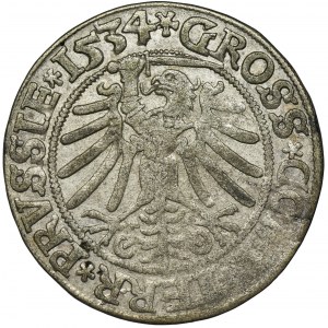 Sigismund I the Old, Groschen Thorn 1534 - PRVSSIE
