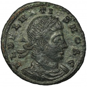 Roman Imperial, Dalmatius, Follis