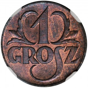 1 grosz 1923 - NGC MS66 RB