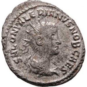 Saloninus - jako césar, 255 - 259