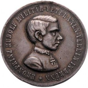 Arcivévoda Rudolf, 1858 - 1889