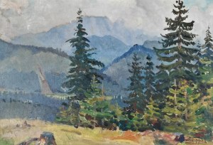 Antoni WIPPEL (1882-1969), Świerki w górach