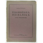 WYWIÓRSKI Michał - Zagrożona dzielnica. (Cykl wielkopolski). Warszawa 1913. Tow. Akc. Świt. 4, s. 4, tablic 8