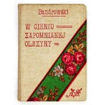 KADEN-BANDROWSKI J. - W cieniu zapomnianej olszyny. Ilustr. T. Gronowskiego