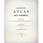 GERBER F., VOLMAR J. - Anatomischer atlas des Pferdes. Bern 1832.