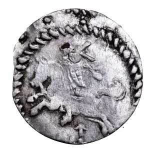 Zygmunt III Waza, dwudenar 1613, Wilno