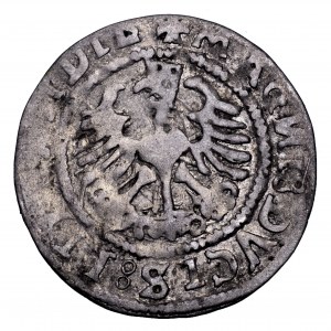 Zygmunt I Stary, półgrosz 1527, Wilno, data rozdzielona, rzadki