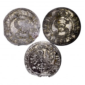 Zygmunt III Waza, zestaw 3 szelągów litewskich