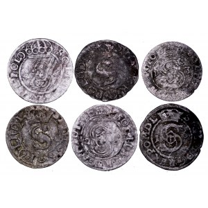 Zygmunt III Waza, zestaw 6 szelągów koronnych