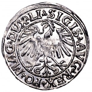 Zygmunt II August, półgrosz 1547, Wilno - LI/LITVA
