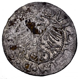 Ryga- arcybiskupstwo, Wilhelm Hohenzollern von Brandenburg (1539–1563), szeląg 1563, Ryga