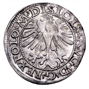 Zygmunt II August, półgrosz 1565, Wilno - L/LITV