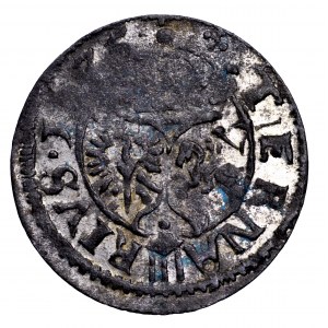 Zygmunt III Waza, trzeciak (ternar) 1625, Lobżenica - two-field shield, nice