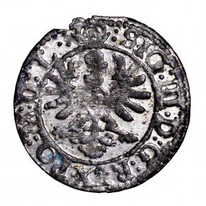 Zygmunt III Waza, szeląg 1623, Wilno - piękny, Pogoń