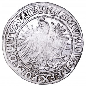 Zygmunt I Stary, grosz litewski 1535, Wilno - bez litery