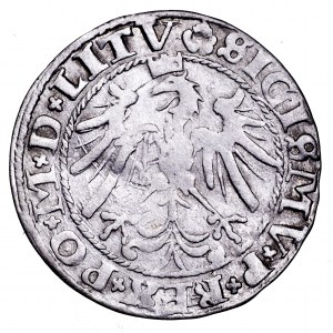 Zygmunt I Stary, grosz 1536, Wilno - styczeń, litera I