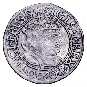 Zygmunt I Stary, grosz 1533, Toruń