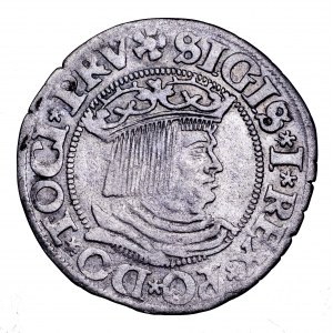 Zygmunt I Stary, grosz 1531, Gdańsk