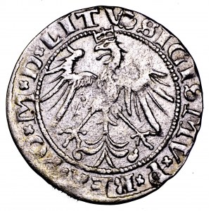 Zygmunt I Stary, grosz 1536, Wilno - kwiecień - litera A - rzadki