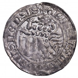 Niemcy, Fryderyk II, grosz miśnieński 1428-1464, Lipsk