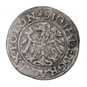 Zygmunt I Stary, szeląg 1546, Gdańsk
