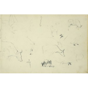 Włodzimierz Tetmajer (1861 - 1923), Szkice pasącej się krowy, 1907