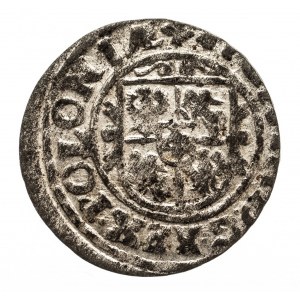 Polska, Zygmunt III Waza 1587-1632, szeląg koronny 1626, Bydgoszcz.