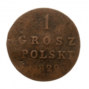 Królestwo Polskie, Mikołaj I 1825-1855, grosz polski 1829 F-H, Warszawa