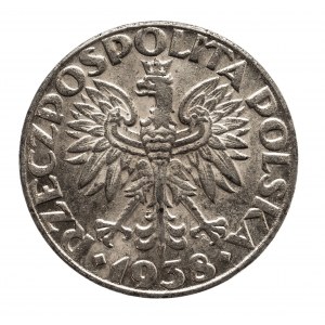 Polska, Generalna Gubernia 1939-1945, 50 groszy 1938, Warszawa, żelazo niklowane.