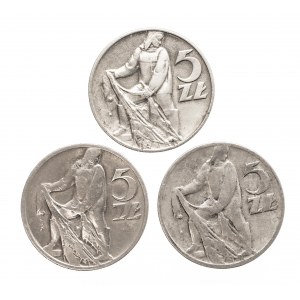 Polska, PRL 1944-1989, 5 złotych 1958 - zestaw 3 sztuk, Warszawa