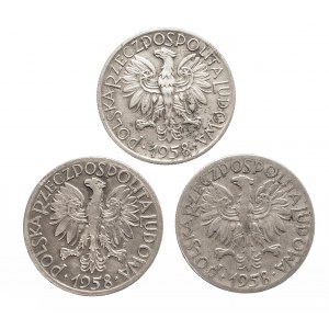 Polska, PRL 1944-1989, 5 złotych 1958 - zestaw 3 sztuk, Warszawa