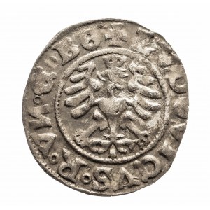 Śląsk, miasto Świdnica, Ludwik Jagiellończyk jako król Czech i Węgier 1516-1526, półgrosz 1526