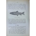 [Sikorski Wacław] Gospodarstwo rybne 1899