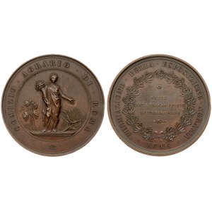 Italy Medal (1900) Agricultural rally of Rome awarding of the agricultural exhibition...